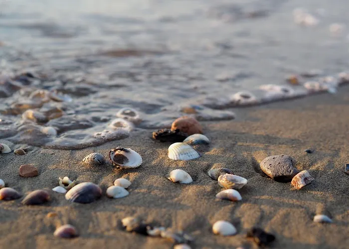 Enjoy From Our Balcony - Beahost Daire